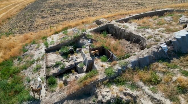 Milattan Önce 2000’li yıllara ait kazı alanı sokak köpeklerinin meskeni haline geldi