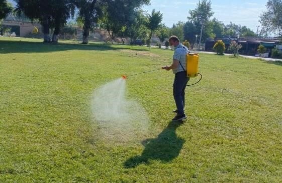 Sakarya Nehri kıyısında haşereye karşı yoğun mesai