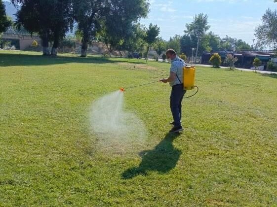 Sakarya Nehri kıyısında haşereye karşı yoğun mesai