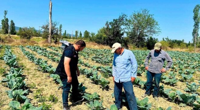 Sebze üretim alanlarında kontroller sürüyor