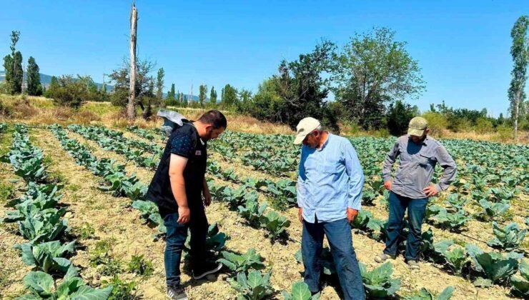 Sebze üretim alanlarında kontroller sürüyor