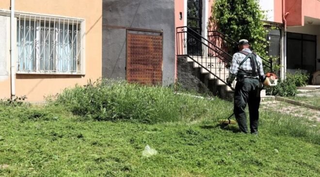 Söğüt’te çim biçme ve ilaçlama çalışmaları aralıksız devam ediyor