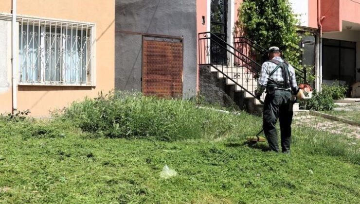 Söğüt’te çim biçme ve ilaçlama çalışmaları aralıksız devam ediyor