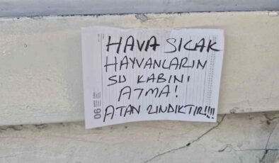 Sokak hayvanlarının su kabını atanlara ilginç tepki: “Atan zındıktır”