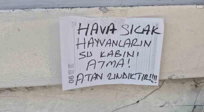 Sokak hayvanlarının su kabını atanlara ilginç tepki: “Atan zındıktır”