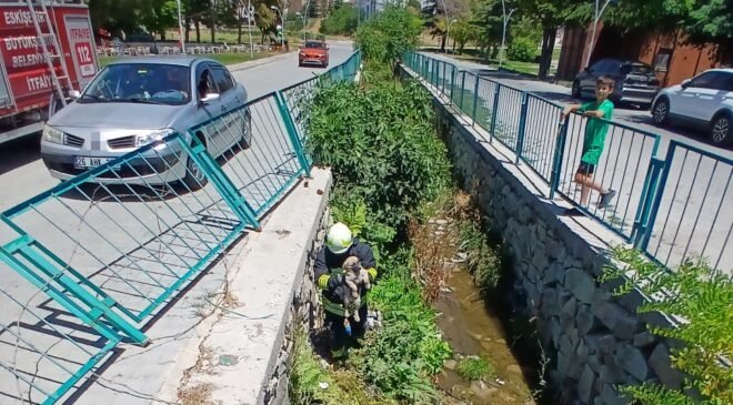 Su kanalına düşen yavru köpek itfaiye arasından kurtarıldı