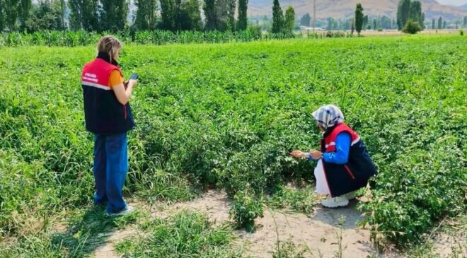 Tarım arazilerinin korunması çalışmaları sürüyor