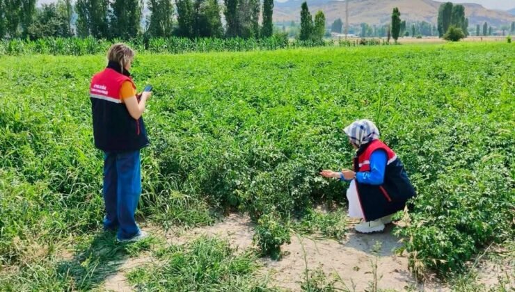 Tarım arazilerinin korunması çalışmaları sürüyor
