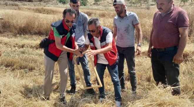 Tavşanlı’da biçerdöver kontrolleri sürüyor