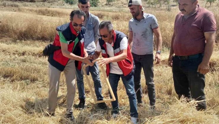 Tavşanlı’da biçerdöver kontrolleri sürüyor