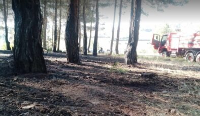 Tavşanlı’da erken müdahale ormanı kurtardı