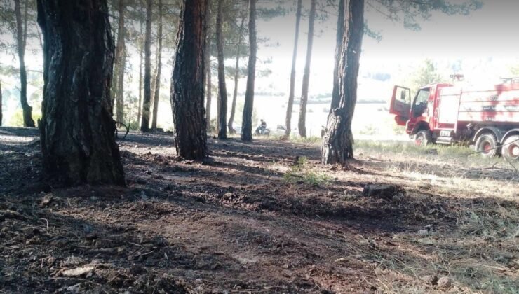 Tavşanlı’da erken müdahale ormanı kurtardı