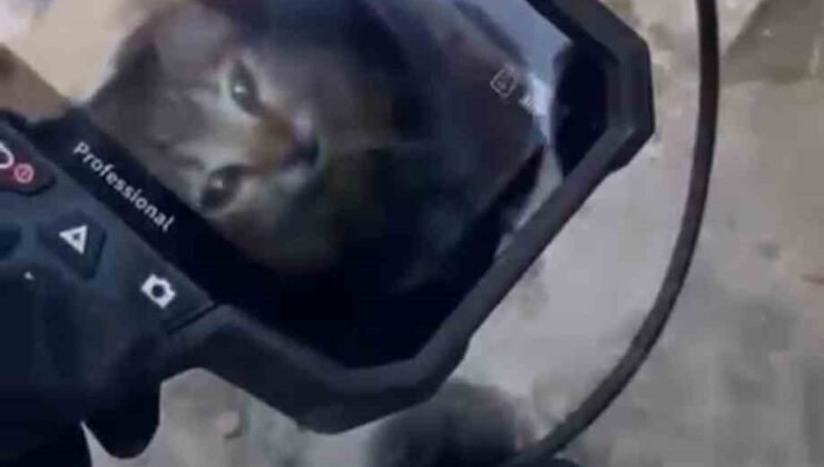 Teras gider borusunda 5 metre derine düşen kediyi itfaiye kurtardı
