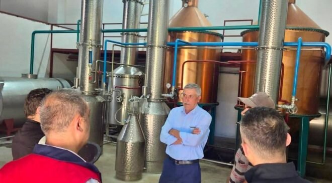 Tıbbi aromatik bitki üretimi için saha çalışmaları sürüyor