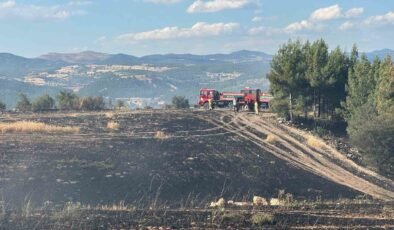Uşak’ta ormanlık alana sıçrayan yangın söndürüldü
