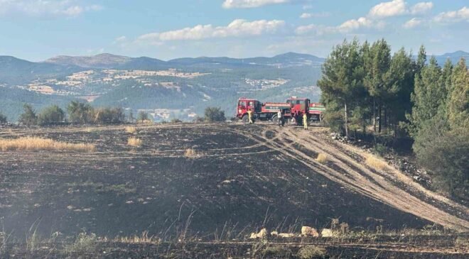 Uşak’ta ormanlık alana sıçrayan yangın söndürüldü