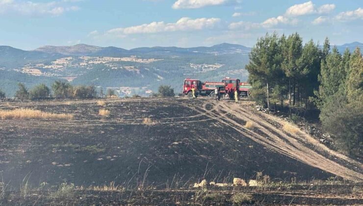 Uşak’ta ormanlık alana sıçrayan yangın söndürüldü