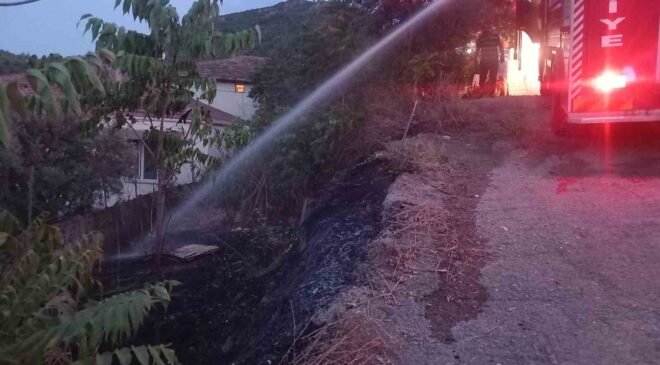 Yerleşim yeri yakınındaki otluk alanda çıkan yangın korkuttu