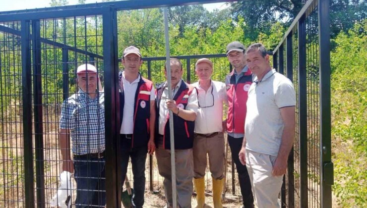 Afyonkarahisar’da süne zararlısının takibi için Erken Uyarı İstasyonu kuruldu