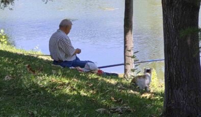 Akıllı sokak kedisi balık tutan adamın başından ayrılmadı