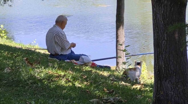 Akıllı sokak kedisi balık tutan adamın başından ayrılmadı