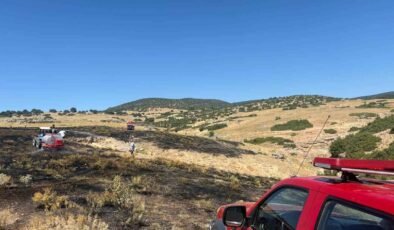 Anız yangını ormanlık alana sıçramadan söndürüldü