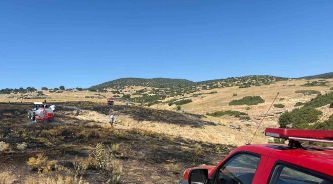 Anız yangını ormanlık alana sıçramadan söndürüldü