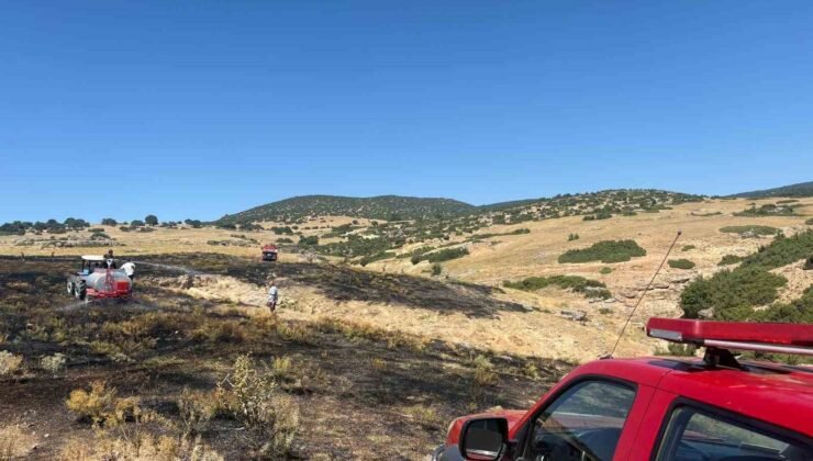 Anız yangını ormanlık alana sıçramadan söndürüldü