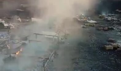 Arılıkta çıkan yangında çok sayıda arı telef oldu