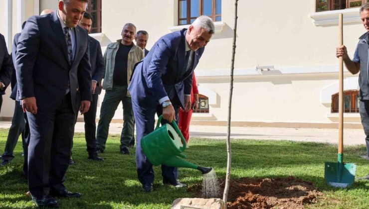 Bakan Bolat, Bilecik Valiliği bahçesinde adını taşıyan çınar fidanını dikerek can suyu verdi