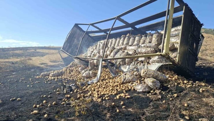 Balatalardan çıkan alevler kamyonu ve çevresindeki araziyi yaktı