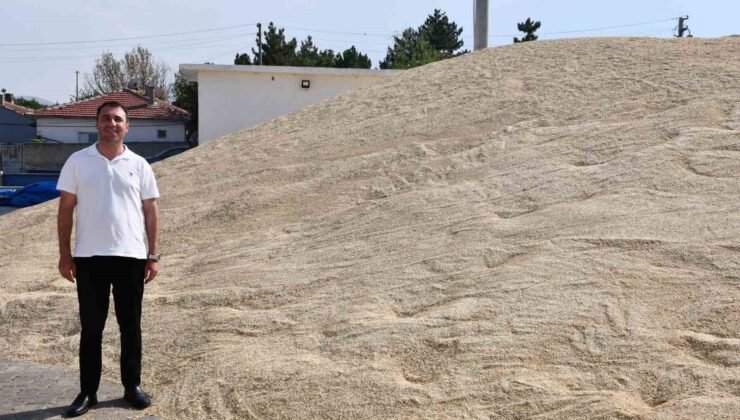 Beylikova Belediyesi tarımda rekor verime ulaştı
