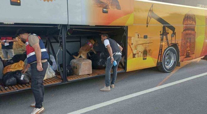 Bilecik’te 669 kişi sorgulandı: 1 kişi hakkında işlem başlatıldı