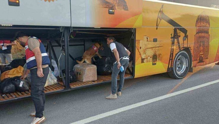 Bilecik’te 669 kişi sorgulandı: 1 kişi hakkında işlem başlatıldı