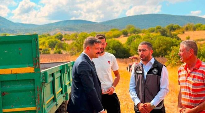 Bilecik’te ayçiçeği ekimi 3 yılda 11 bin 700 dekar arttı