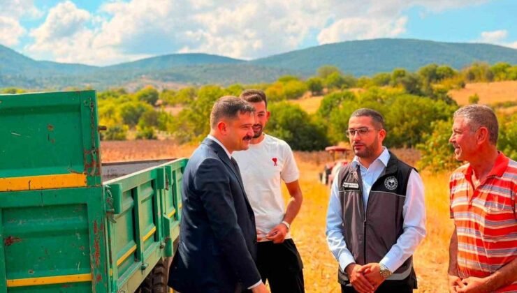 Bilecik’te ayçiçeği ekimi 3 yılda 11 bin 700 dekar arttı