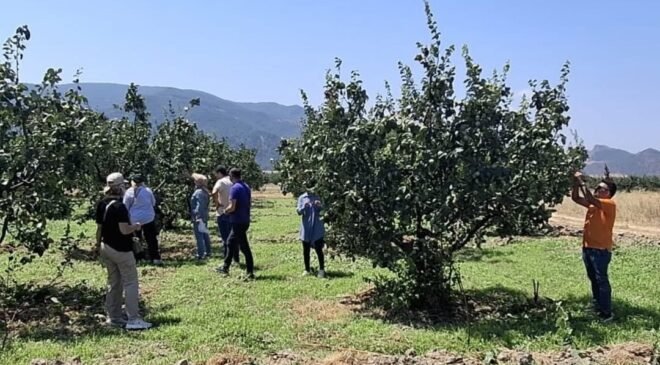 Bilecik’te bitki hastalıkları ve zararlılara karşı saha kontrolü