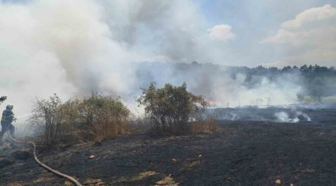 Bilecik’te çıkan yangında 30 dönümlük hasadı yapılmış buğday tarlası kül oldu