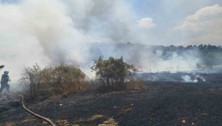 Bilecik’te çıkan yangında 30 dönümlük hasadı yapılmış buğday tarlası kül oldu