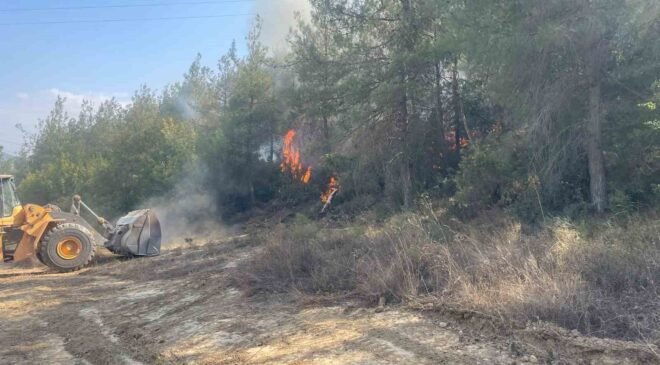Bilecik’te orman yangını kısmen kontrol altına alındı