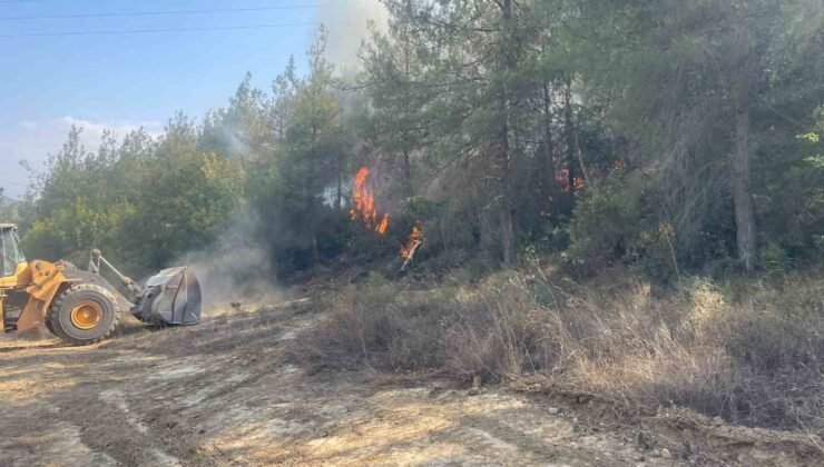 Bilecik’te orman yangını kısmen kontrol altına alındı