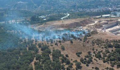 Bilecik’te ormanlık alanda başlayan yangın kontrol altına alındı