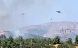 Bilecik’te ormanlık alanda yangın başladı