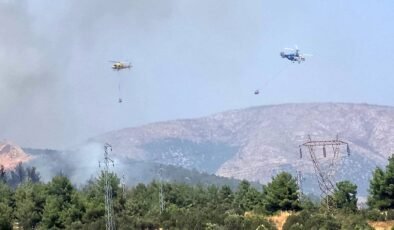 Bilecik’te ormanlık alanda yangın başladı