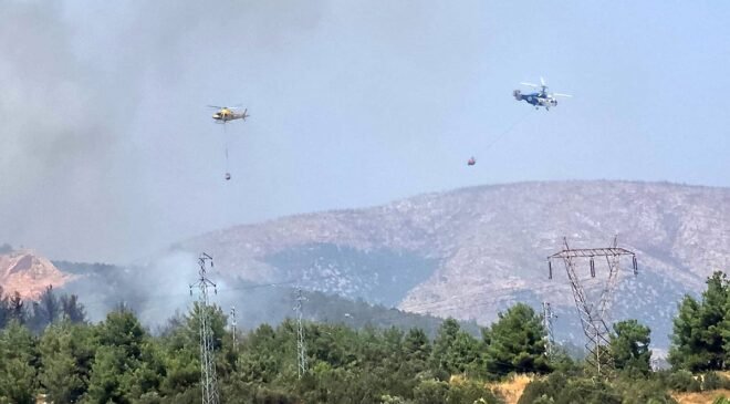 Bilecik’te ormanlık alanda yangın başladı