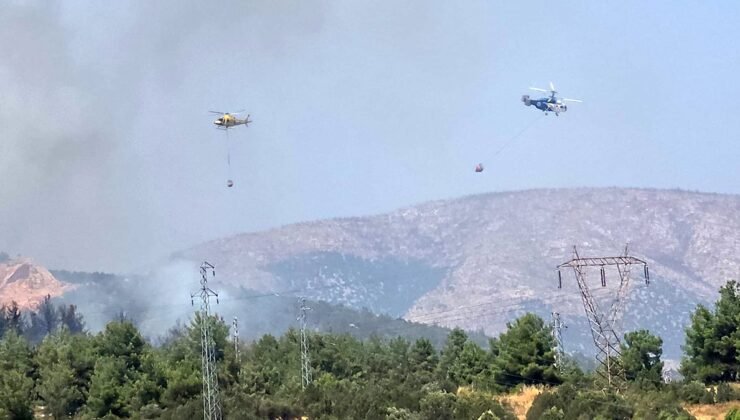 Bilecik’te ormanlık alanda yangın başladı