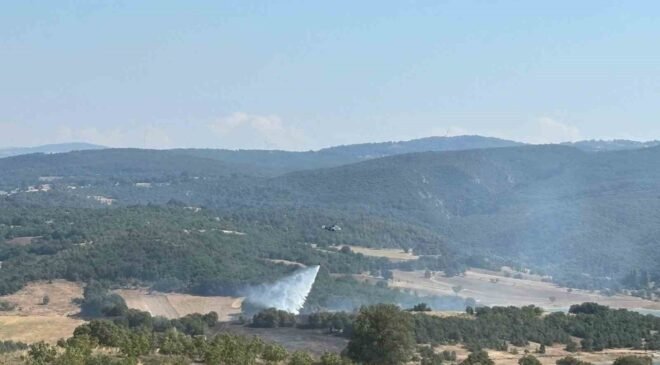Bilecik’te ormanlık alandaki yangın kontrol altına alındı