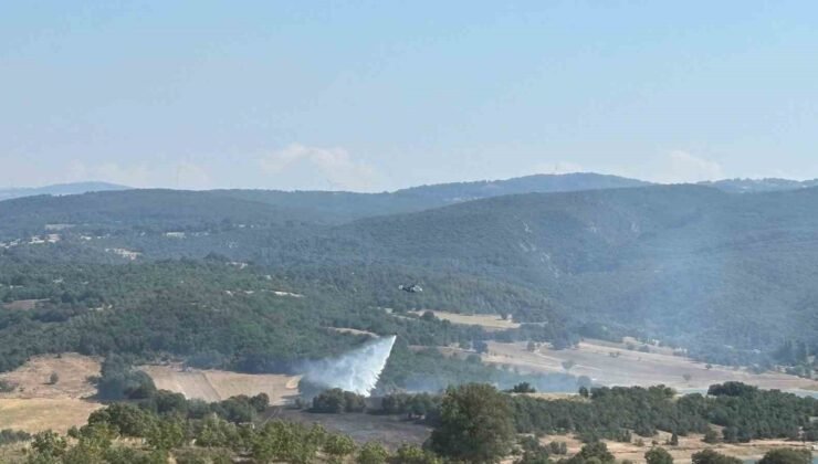 Bilecik’te ormanlık alandaki yangın kontrol altına alındı
