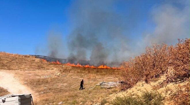 Bozüyük’te tarım arazisinde yangın çıktı