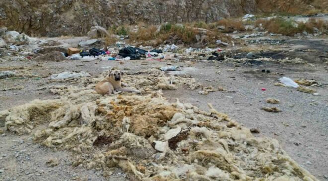 Çöplüğe dönen kum ocağında çevre felaketi yaşanıyor